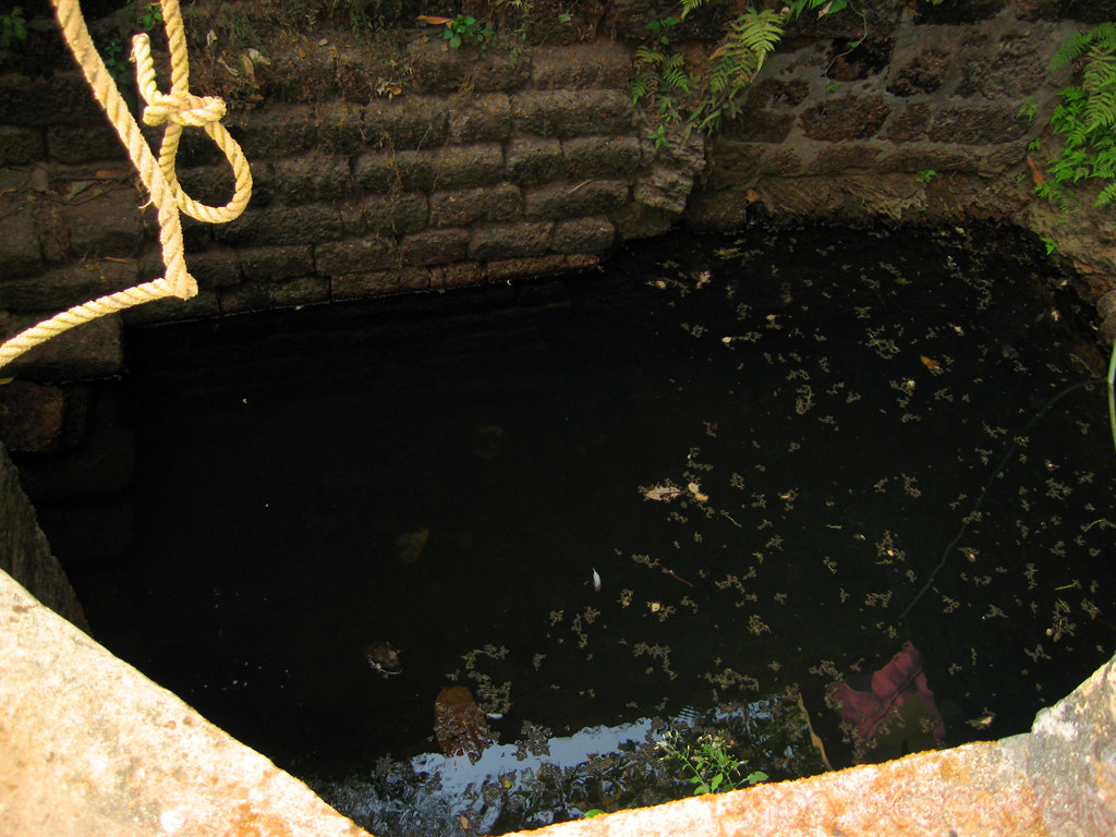 Deepti, a 27-year-old resident of Colomba, Rivona, Sanguem, tragically died after accidentally falling into a well in Dhandholem.