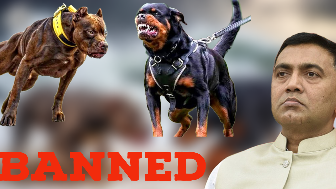 Goa Government Bans Pit Bull and Rottweiler Breeds.CM Sawant