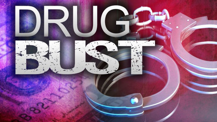 253 Goans arrested by law enforcement agencies with drugs since 2020