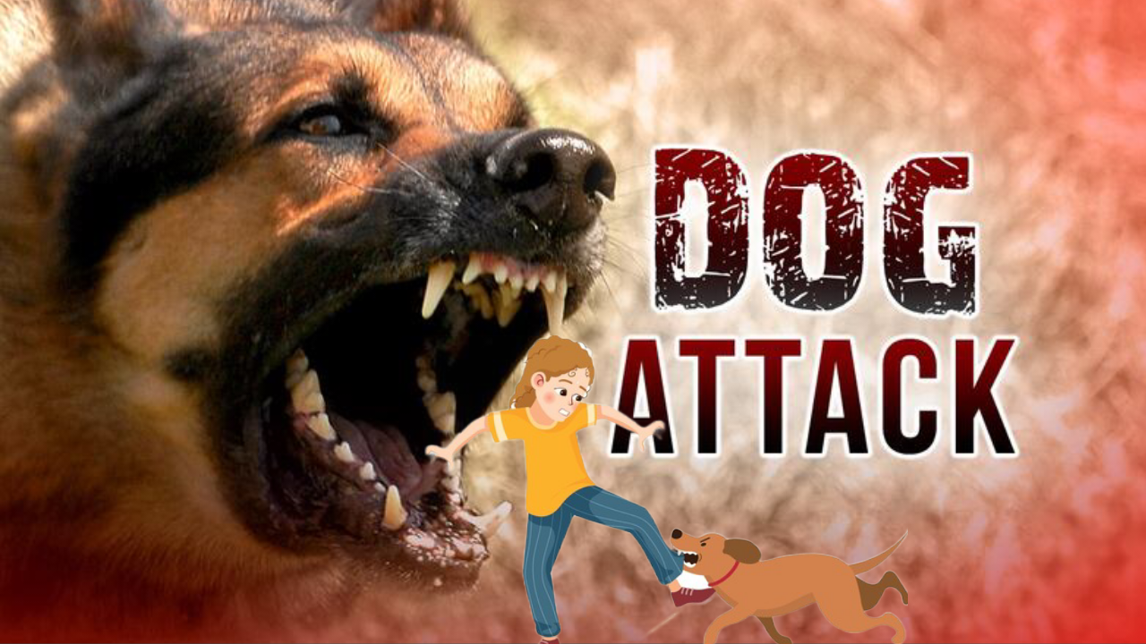 TODDLER MAULED TO DEATH BY STRAY DOGS IN PONDA.