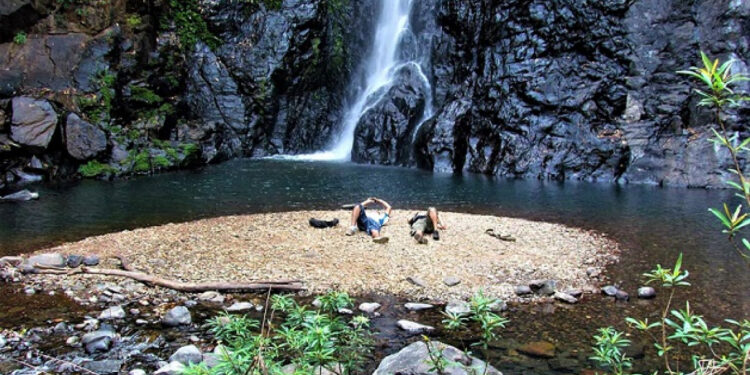 Collaborative Push for Sustainable Tourism: Goa to Spotlight Forests, Waterfalls, and Hinterland.