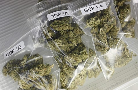 Panjim Police Seize ₹1 Lakh Worth Ganja in Campal Drug Bust.