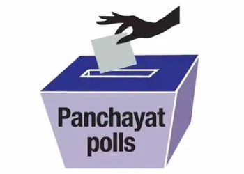 Goa Panchayat Bypolls on May 10; Model Code Enforced Across Four Wards