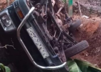 Wild Elephant Omkar damages van at Kadshi-Mopa villagers panic.