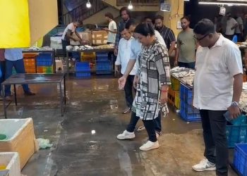 Hygiene, Infrastructure Gaps at Ponda Fish Market Raise Concerns.