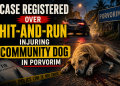 Case Registered Over Hit-and-Run Injuring Community Dog in Porvorim.
